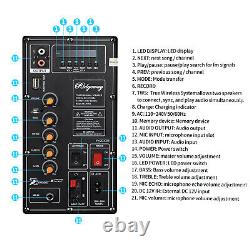 4,500W Rechargable Bluetooth Speaker Dual 10 Woofer Party FM Karaok DJ LED AUX