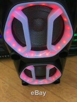 Bluetooth Rechargeable Party DJ Speaker Dual 12 inch with LED Lights + Wired Mic