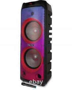 Dolphin SPF-1212R Dual 12 Party Speaker
