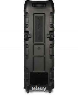 Dolphin SPF-1212R Dual 12 Party Speaker