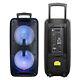 Dual 10'' Portable Bluetooth Rechargeable Party Speaker Mic Remote Control Led