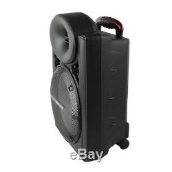 Pro 12 Hifi DJ PA System Bluetooth Speaker 2 Wireless Mics Karaoke party