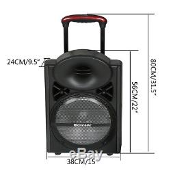 Pro 12 Hifi DJ PA System Bluetooth Speaker 2 Wireless Mics Karaoke party