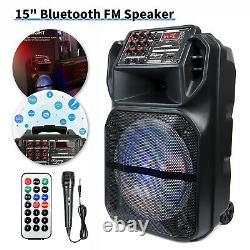 Haut-parleur Bluetooth sans fil stéréo puissant 15 Trolley BT/FM/AUX pour fête et karaoké