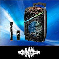 Party Bluetooth Haut-parleur Et Microphone Sans Fil 150w 8 Portable Dj Pa Fm Rec Led
