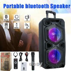 Portable Dual 10 Fm Bluetooth Subwoofer Party Haut-parleur Basse Son Lourd Avec Micro
