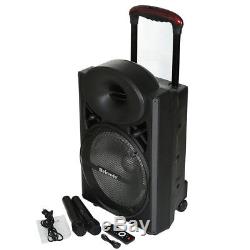 Pro 12 Hifi Dj Système De Sonorisation Haut-parleur Bluetooth 2 Microphones Sans Fil Soirée Karaoké